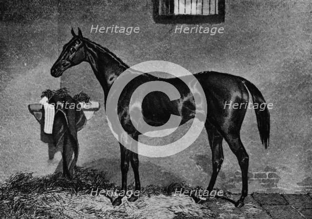 'Voltigeur', 1847-1874, (1911). Artist: Unknown.