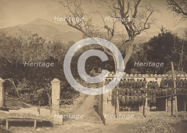 Agricultural Scene with Mountains, 1850s. Creator: Louis Crette.