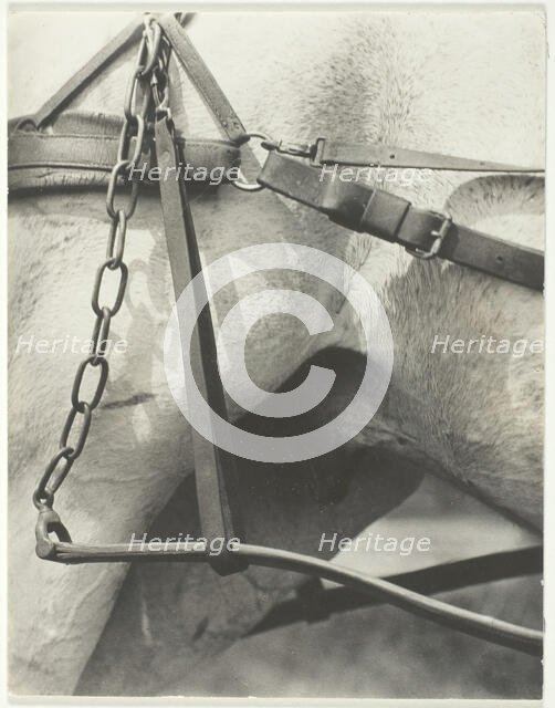 Equivalent, Spiritual America, 1923. Creator: Alfred Stieglitz.