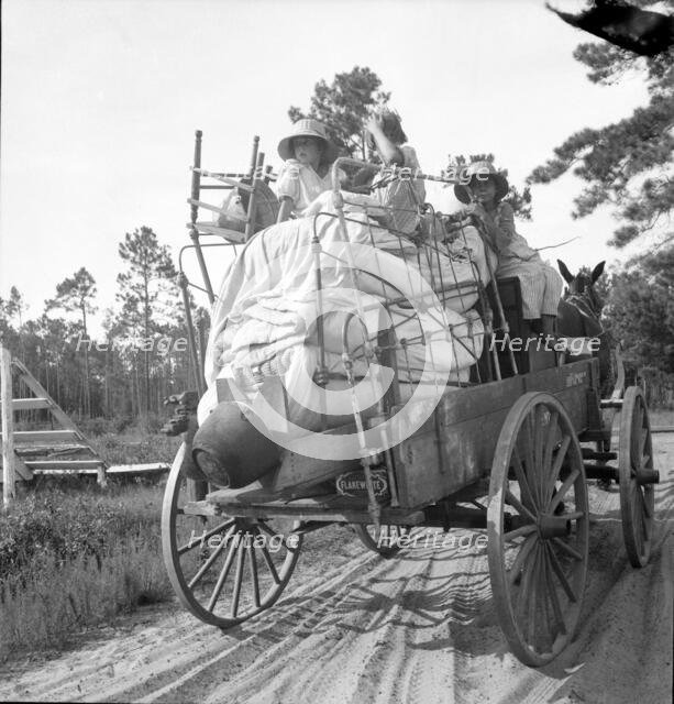 Moving day in the turpentine pine forest country, North Florida, 1936. Creator: Dorothea Lange.