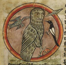 Owl mobbed by smaller birds, 1230-1240. Creator: Unknown.