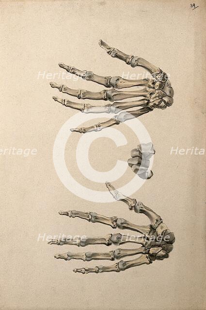 Bones of the hand: three figures, 1830-1835. Creator: Unknown.