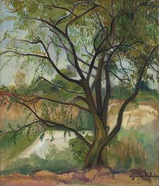 L'arbre (The Tree), 1912. Creator: Valadon; Suzanne (1865-1938).