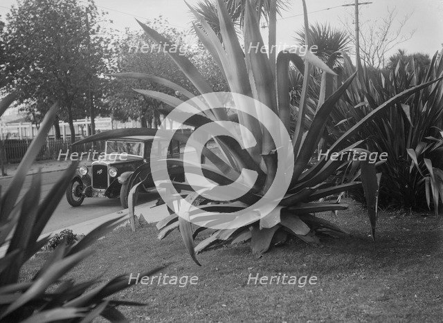 1931 Austin 16/6 on a road test, Torquay, Devon. Artist: Bill Brunell.