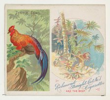 Jungle Fowl, from Birds of the Tropics series (N38) for Allen & Ginter Cigarettes, 1889. Creator: Allen & Ginter.