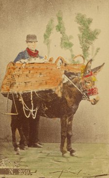 Unidentified man with mule carrying baskets of food, 1870s. Creator: Marittima.