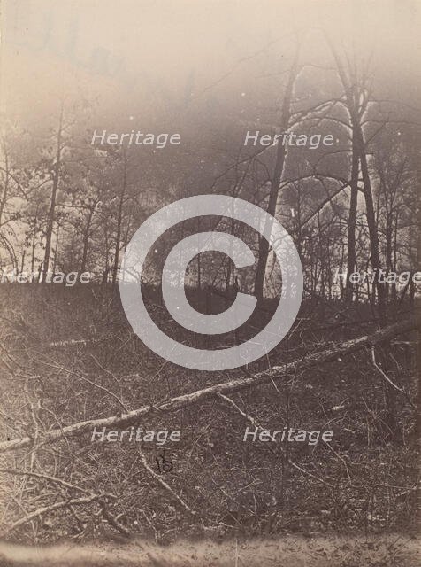 The Wilderness Battlefield, 1864. Creator: Unknown.