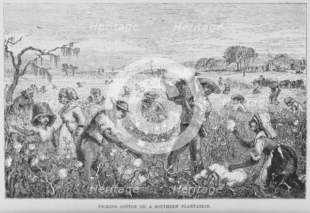 Picking cotton on a southern plantation, 1882. Creator: Unknown.
