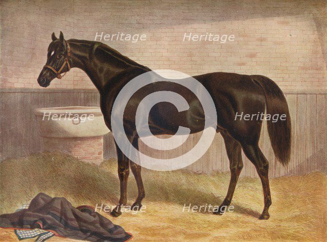 'Gladiator', 19th century. Artist: John Frederick Herring I.