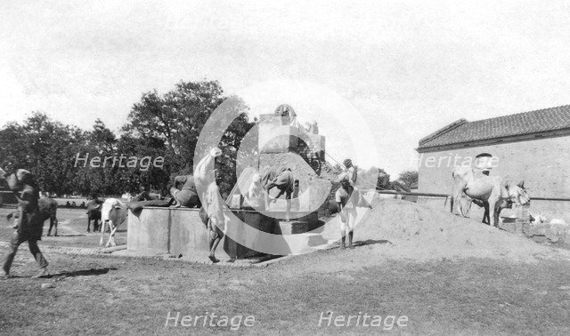 Water well, Mathura, India, 1916-1917. Artist: Unknown