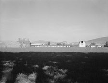Looking across alfalfa field, late afternoon, Moxee Valley district, Yakima Valley, Washington, 1939 Creator: Dorothea Lange.