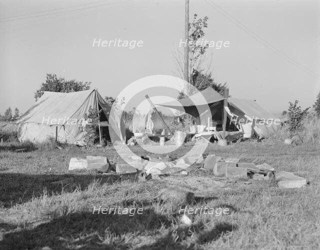 Bean pickers' camp,Oregon, Marion county, near West Stayton, Oregon, 1939. Creator: Dorothea Lange.