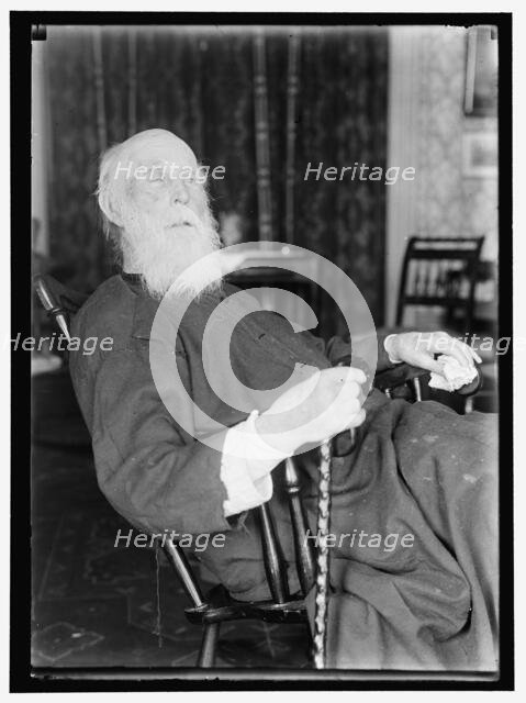 John Burroughs?, between 1913 and 1917. Creator: Harris & Ewing.