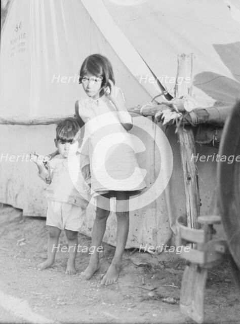 Migrant Mexican children in contractor's camp at time of early pea harvest, Nipomo, California, 1935 Creator: Dorothea Lange.
