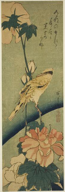 Blacked-naped oriole on hibiscus, mid-1830s. Creator: Ando Hiroshige.