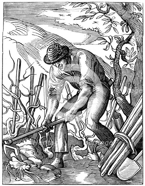 Winemaker, 16th century (1849).Artist: Jost Amman