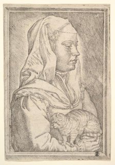 Girl with a Cat, 1546. Creator: Jan Cornelisz Vermeyen.