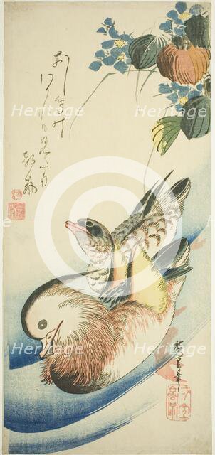 Mandarin ducks, 1830s. Creator: Ando Hiroshige.