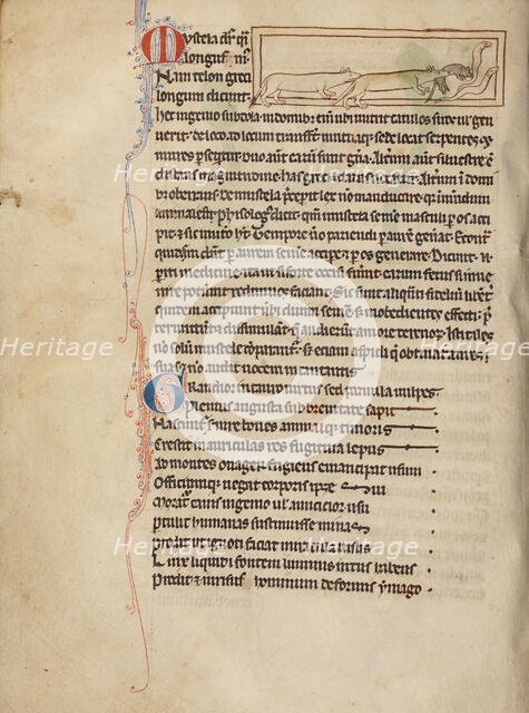 Weasels; Northumberland Bestiary, about 1250-1260. Creator: Unknown.