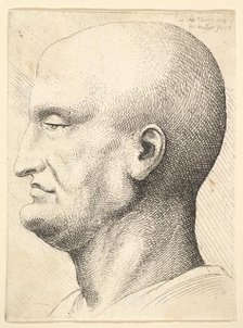 Head of a bald man in profile to left, 1644-52. Creator: Wenceslaus Hollar.