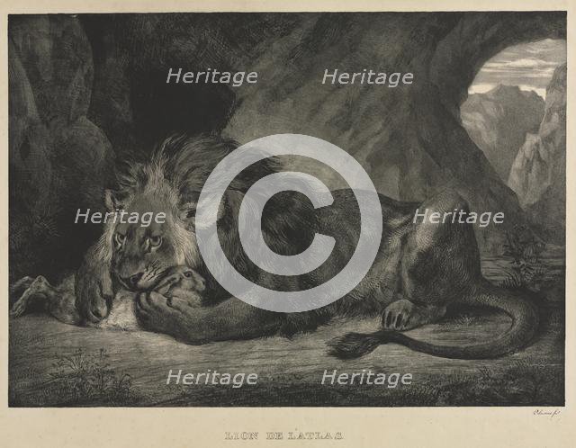 Lion de lAtlas, 1829. Creator: Eugène Delacroix (French, 1798-1863).