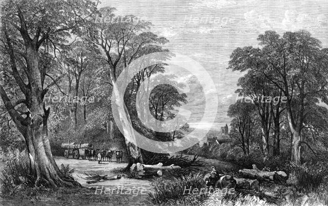 "The Woods in Autumn", by Henry Jutsum, in the Exhibition of the British Institution, 1864. Creator: Unknown.