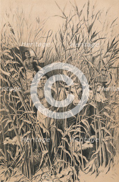 'A Troublesome Road', c1880. Artist: Unknown.