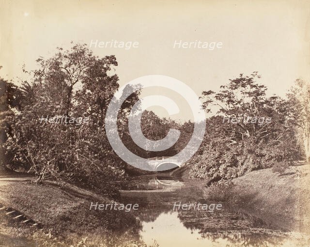 [Botanical Gardens, Calcutta], 1850s. Creator: Captain R. B. Hill.