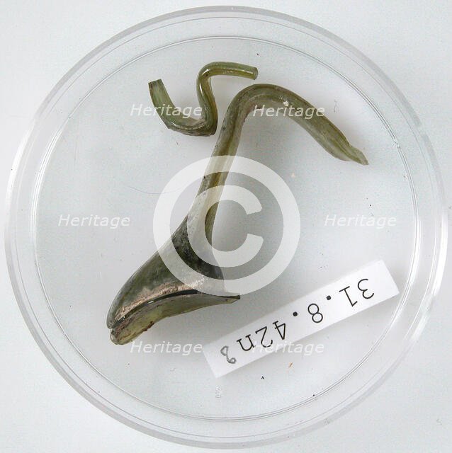 Glass Fragments, Coptic, 4th century. Creator: Unknown.