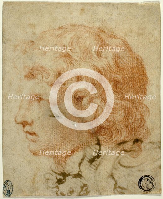 Head of Youth in Profile to Left (recto), 17th century. Creator: Unknown.