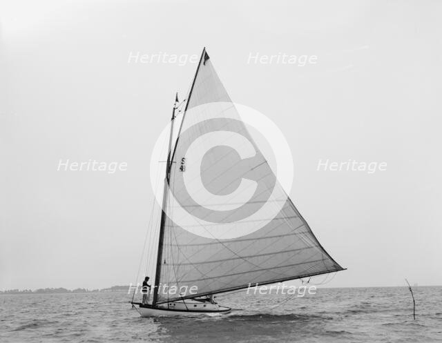 Volsung, 1897 June 29. Creator: John S Johnston.