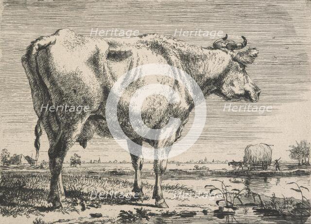 No title. (Cattle study.), c.1798. Creator: Pieter Gerardus van Os.