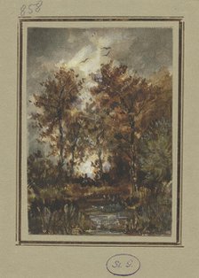Autumn scenery with a brook, mid-late 19th century. Creator: Jakob Maurer.