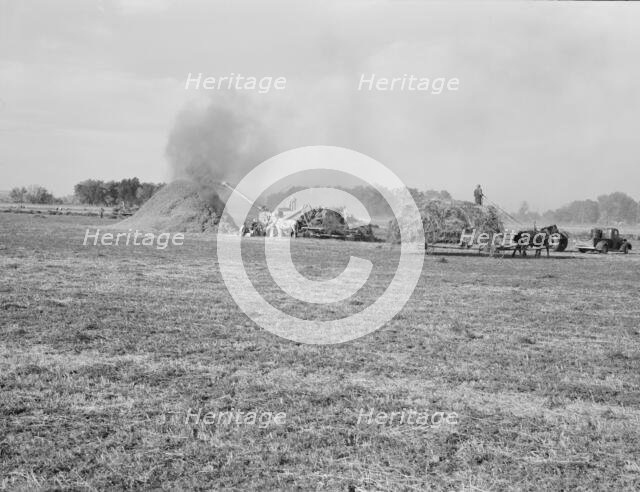 Threshing red clover for seed on older settler's ranch, near Ontario, Malheur County, Oregon, 1939. Creator: Dorothea Lange.
