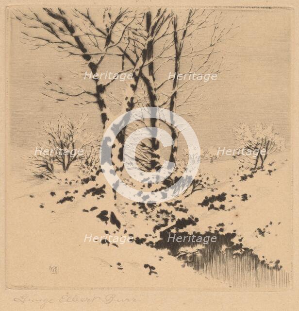 Snow, c. 1910. Creator: George Elbert Burr.