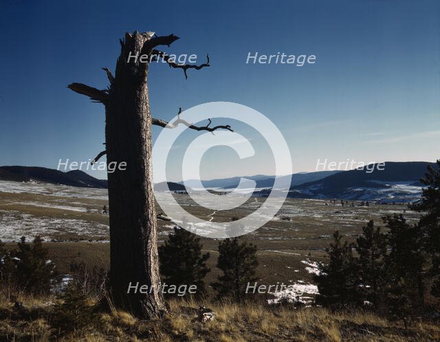 Moreno Valley, Colfax County, New Mexico, 1943. Creator: John Collier.