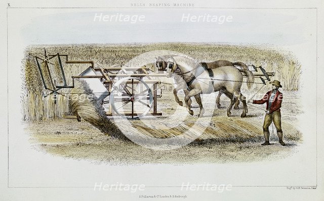 Bell's reaping machine, 1851. Artist: GH Swanston