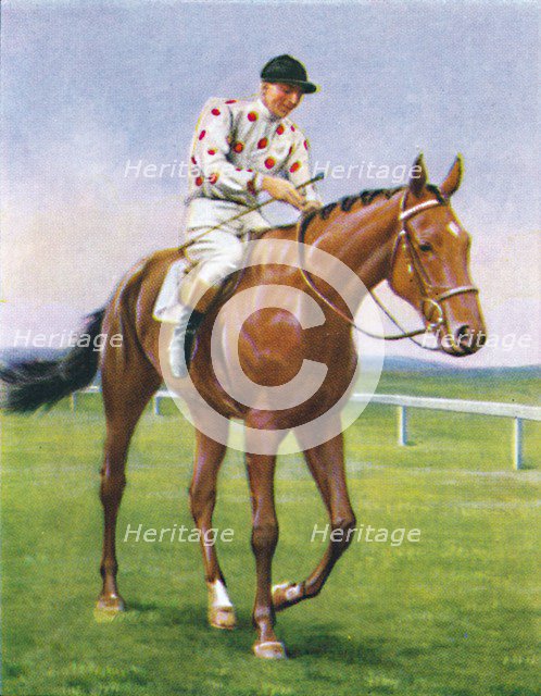 Foxbrough II, Jockey: P. Beasley', 1939. Artist: Unknown.