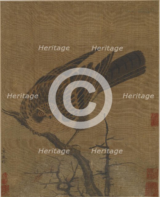 Hawk on a leafless branch, Possibly Yuan dynasty, 1279-1368. Creator: Unknown.