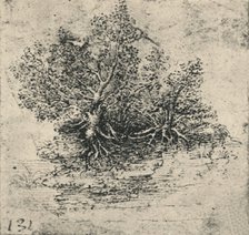 'Two Trees on the Bank of a Stream', c1480 (1945). Artist: Leonardo da Vinci.