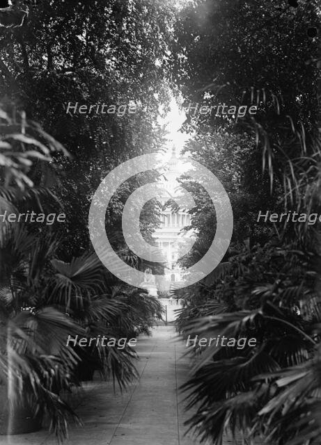 Botanical Gardens, 1917 or 1918. Creator: Harris & Ewing.