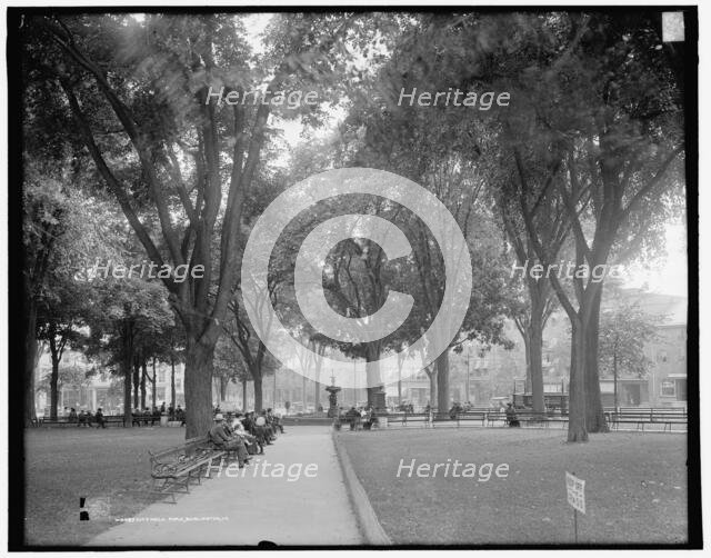 City Hall Park, Burlington, Vt., c1907. Creator: Unknown.