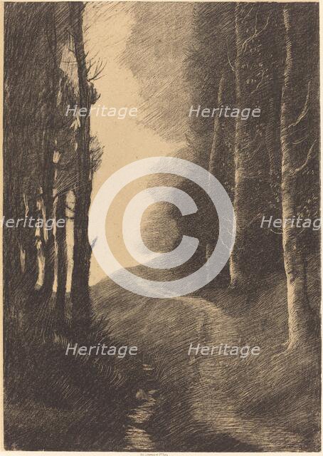 Landscape with Birch Trees (Le paysage aux bouleaux). Creator: Alphonse Legros.