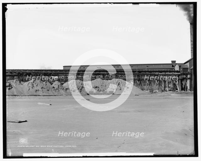 Calumet and Hecla stamp mills, Lake Linden, Mich., c1906. Creator: Unknown.