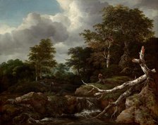Forest Scene, c. 1655. Creator: Jacob van Ruisdael.