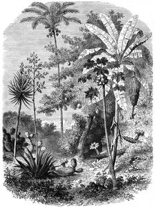 'View of the Spanish Main, Guatemala', 1877. Artist: Unknown