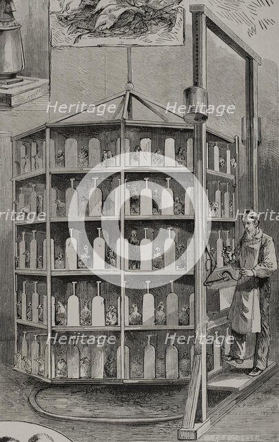 Artificial hatching of hen eggs by the Baker method - supply of bait for layer chicks, 1878. Creator: Unknown.
