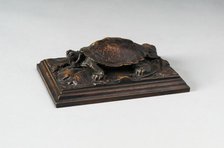 Turtle, c. 1820. Creator: Antoine-Louis Barye.