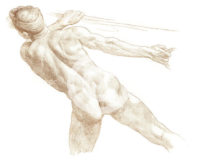 Study, 1895. Artist: Unknown