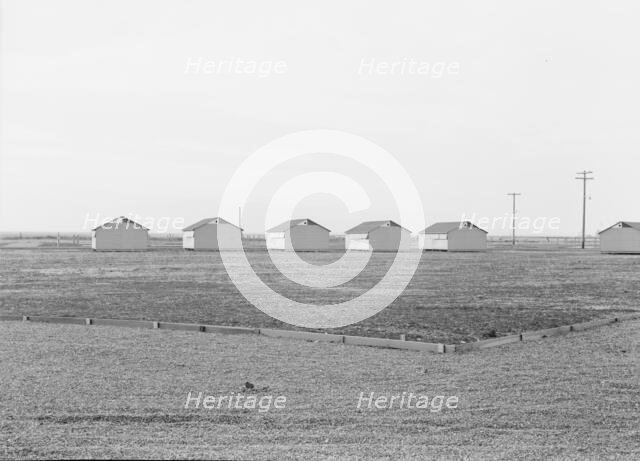 United States government camp for migratory workers (FSA), Westley, California, 1938. Creator: Dorothea Lange.